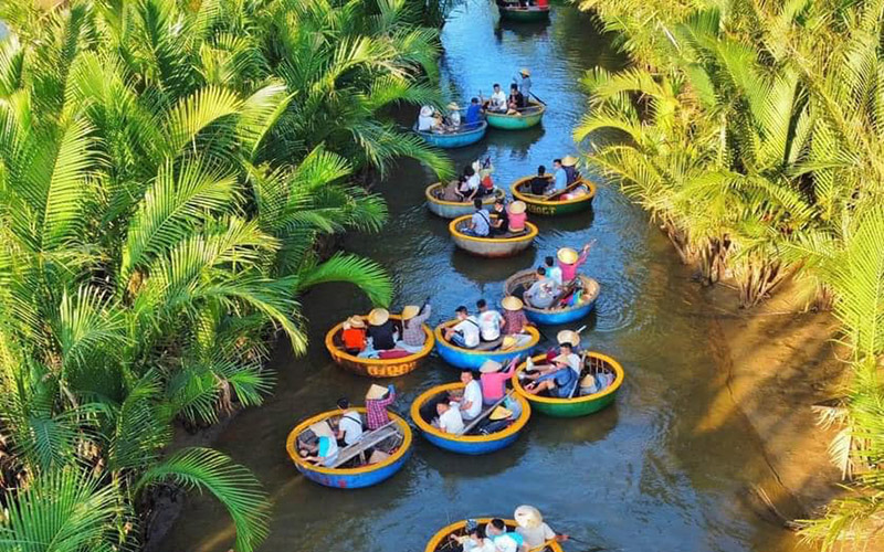 Rừng dừa 7 mẫu