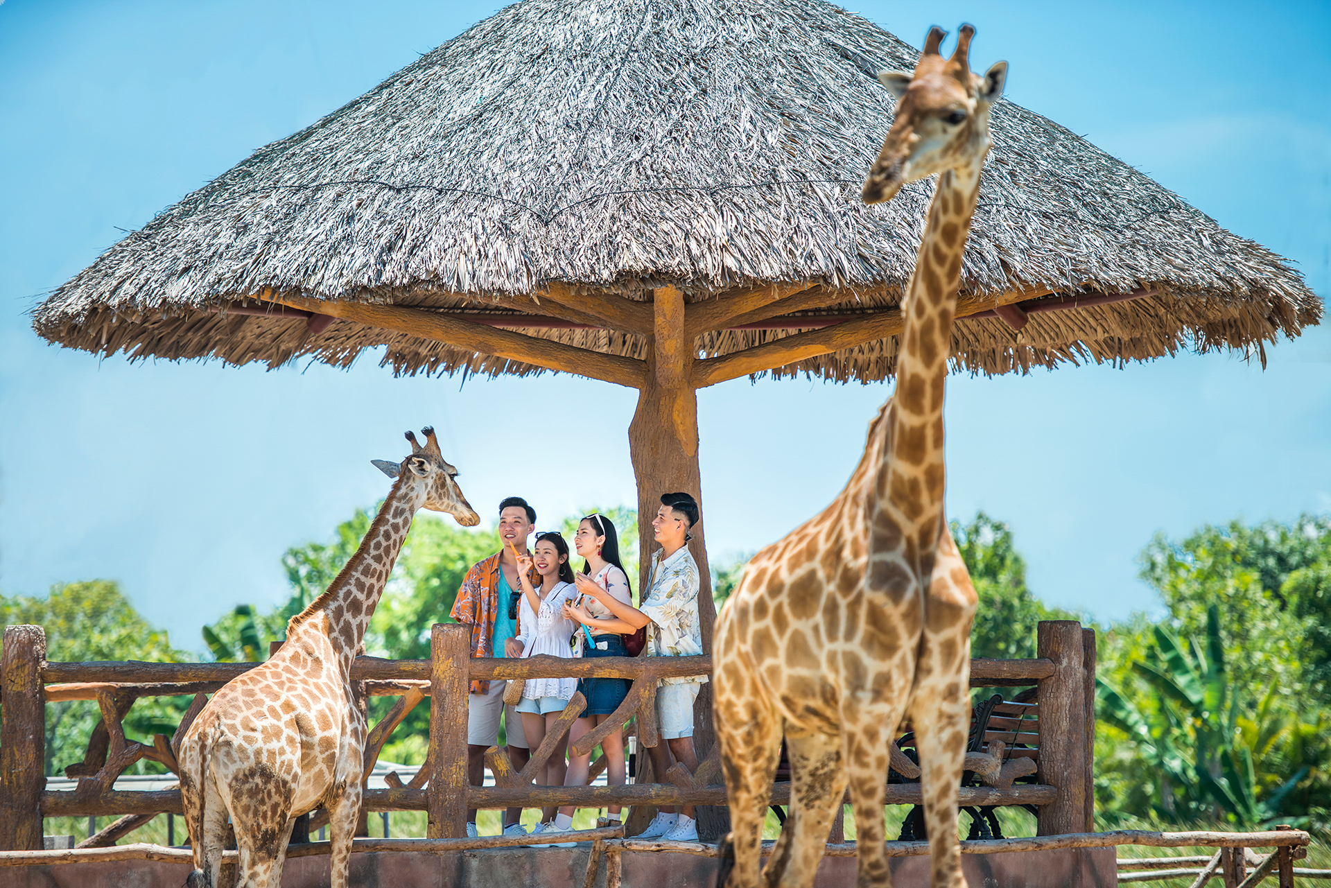 Vườn thú Safari