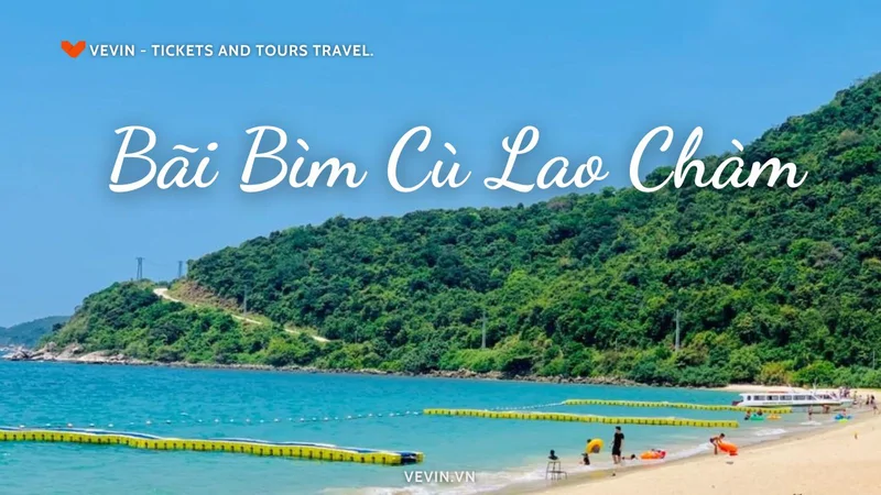 Poster-Bai-Bim