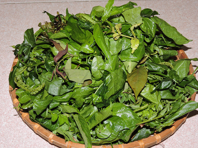 Rau Rừng Cù Lao Chàm