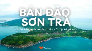 Poster-Ban-Dao-Son-Tra