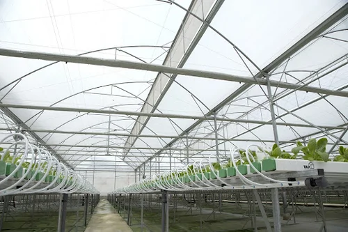Cong-nghe-nha-kinh-vineco