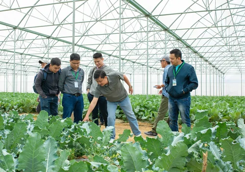 Kiem-dinh-vineco-1