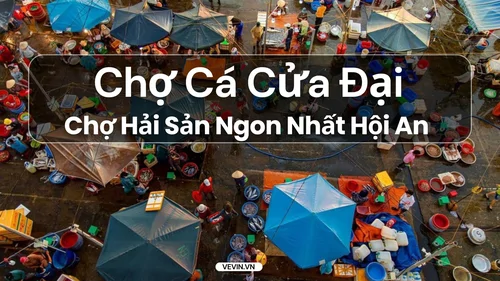 Poster-Cho-ca