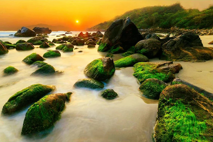 Hoang-Hon-Ran-Nam-O