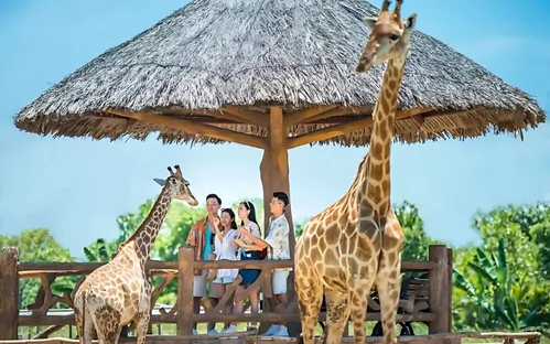 Ngồi thuyền ngắm thú bán hoang dã