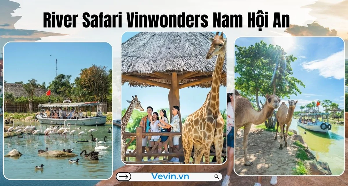 blog-vinwonders